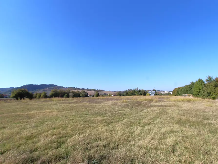Immagine 12 di Terreno industriale in vendita  in Via Cassola a Valsamoggia