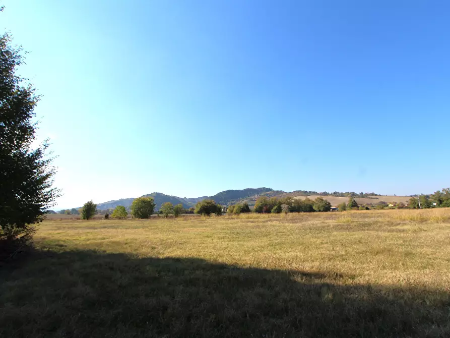 Immagine 14 di Terreno industriale in vendita  in Via Cassola a Valsamoggia