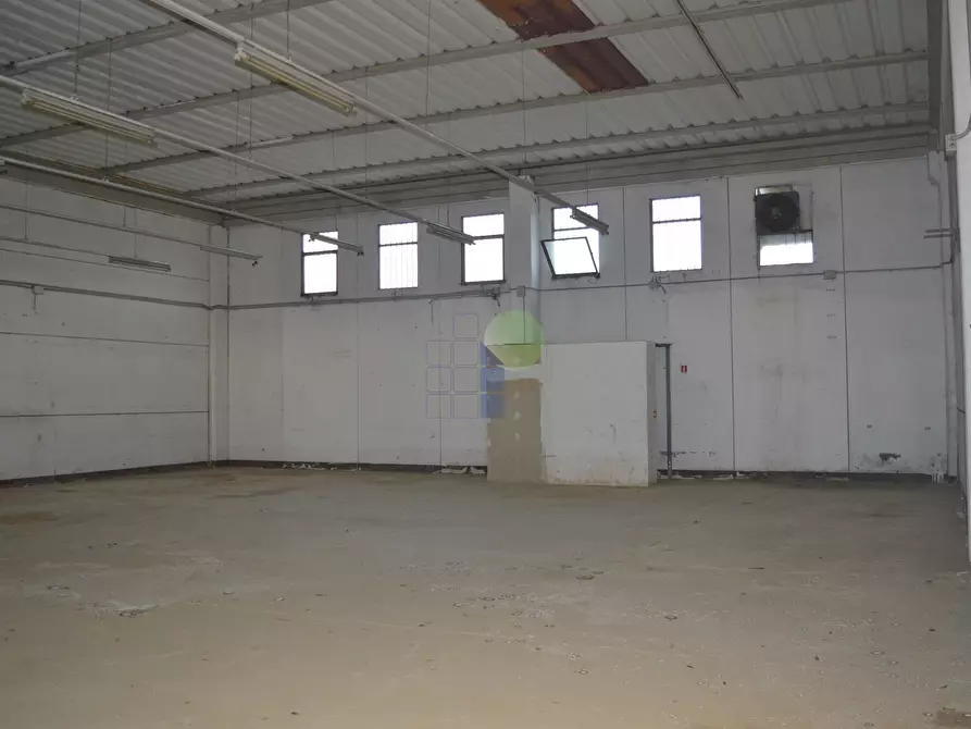 Immagine 8 di Capannone industriale in affitto  in Via Aurelia 76 a Collesalvetti