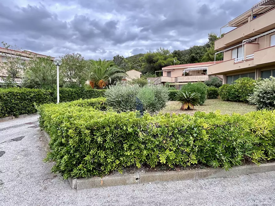 Immagine 9 di Appartamento in vendita  in Via Aurelia 820 a Rosignano Marittimo