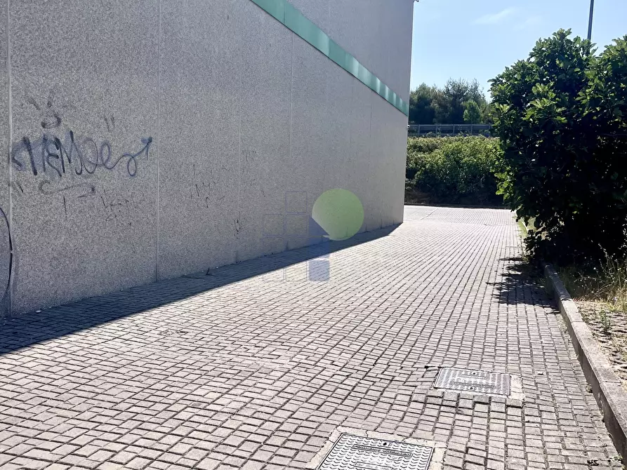 Immagine 18 di Attività artigianale in affitto  in Via  Cimarosa 55 a Livorno