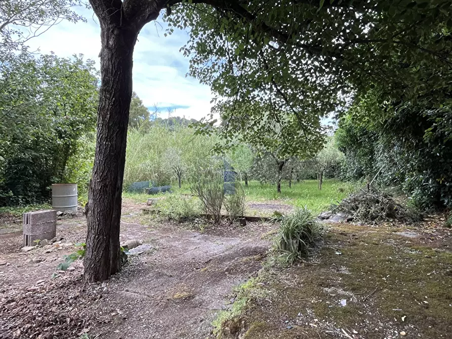 Immagine 10 di Terreno agricolo in vendita  in Via di Popogna 441 a Livorno