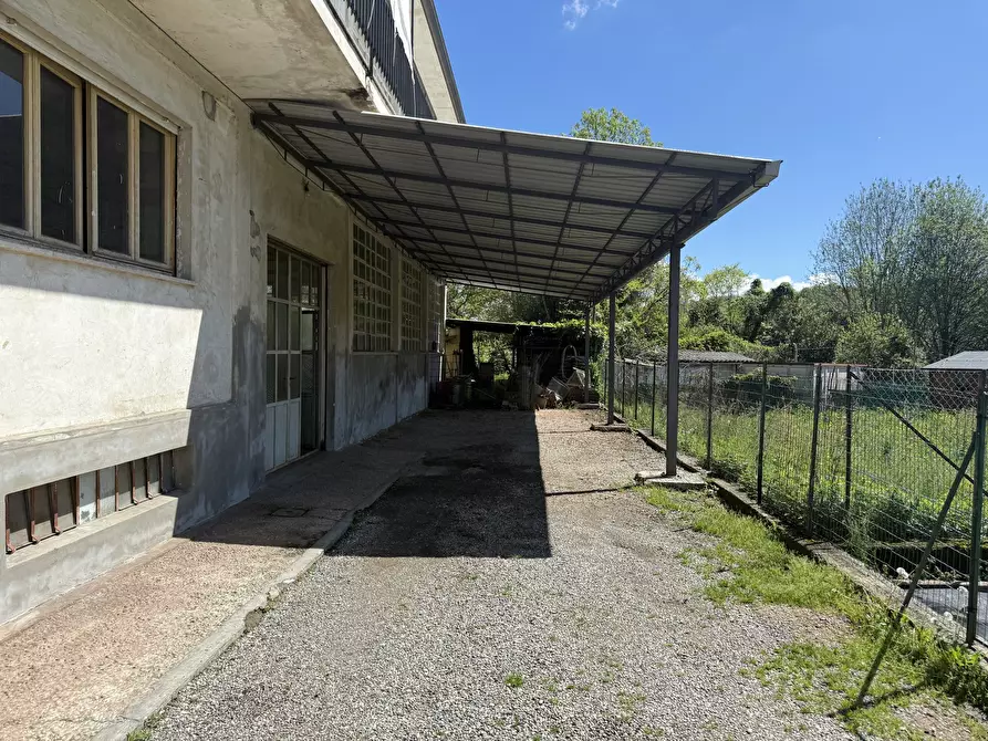 Immagine 4 di Magazzino in affitto  a Arona