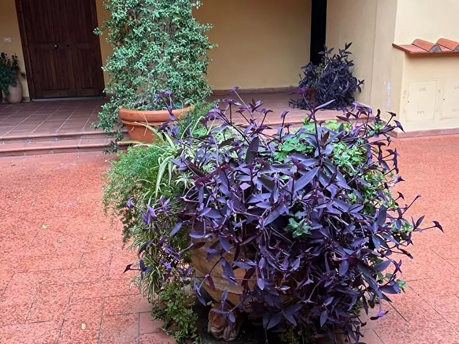 Immagine 23 di Quadrilocale in vendita  in Via del Motrone a Firenze