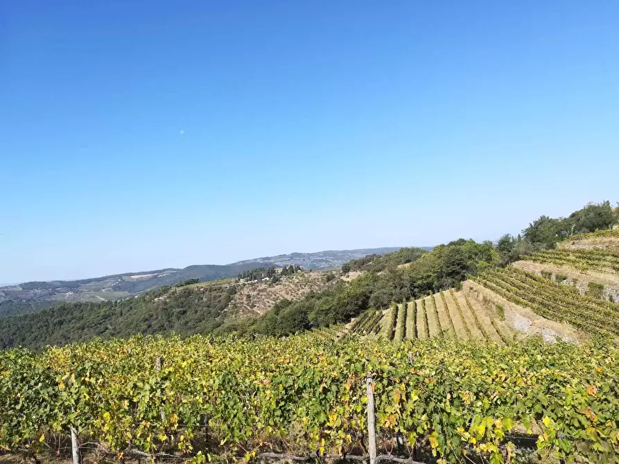 Immagine 1 di Rustico / casale in vendita  in Via di lamole a Greve In Chianti