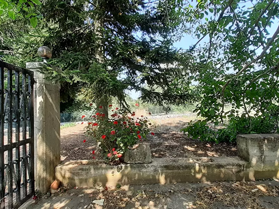 Immagine 55 di Rustico / casale in vendita  in Strada Provinciale 24 21 a Noto