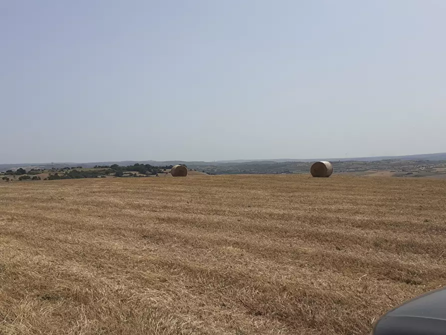 Immagine 30 di Terreno agricolo in vendita  in c.da Poi a Palazzolo Acreide