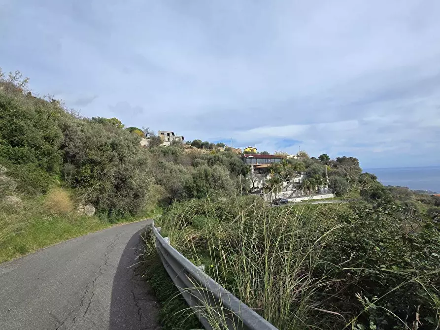 Immagine 17 di Terreno agricolo in vendita  in c,da mastrissa a Castelmola