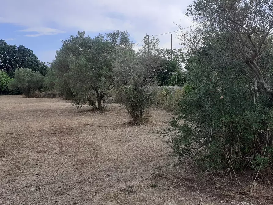 Immagine 63 di Villetta a schiera in vendita  in Via Acre 19 a Palazzolo Acreide