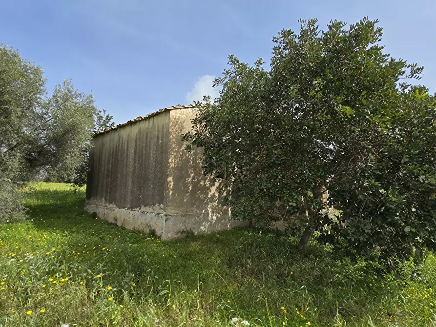 Immagine 13 di Villa in vendita  in Cavasecca a Canicattini Bagni