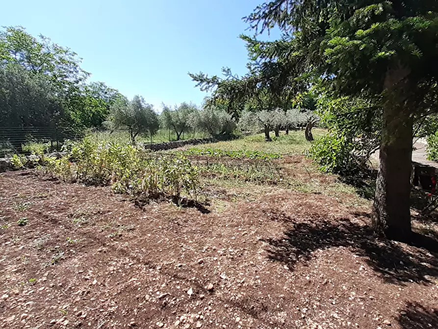 Immagine 29 di Rustico / casale in vendita  in Strada Provinciale 24 21 a Noto
