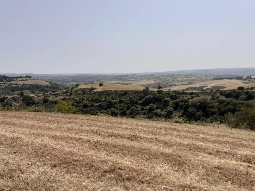 Immagine 41 di Terreno agricolo in vendita  in c.da Poi a Palazzolo Acreide