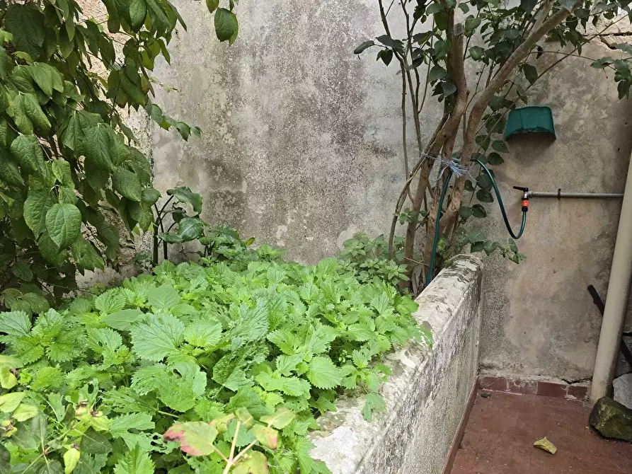 Immagine 4 di Casa indipendente in vendita  in Via Guglielmo Messina 15 a Palazzolo Acreide