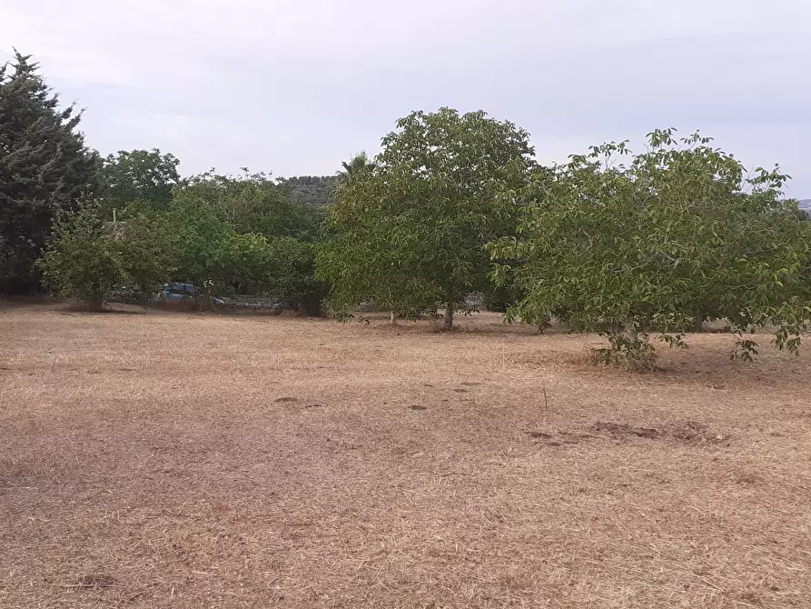 Immagine 67 di Villetta a schiera in vendita  in Via Acre 19 a Palazzolo Acreide