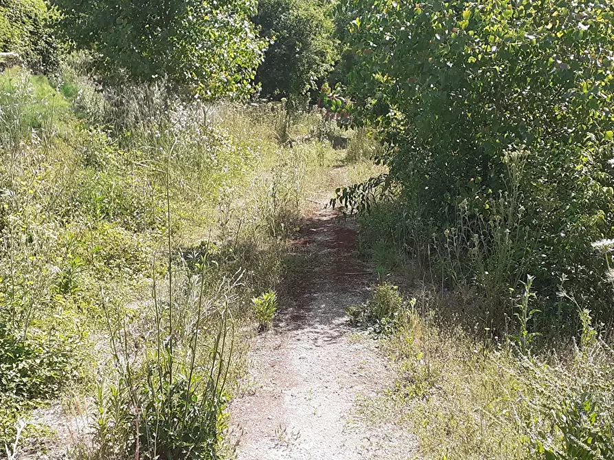 Immagine 12 di Terreno agricolo in vendita  in Strada Statale 287 a Noto