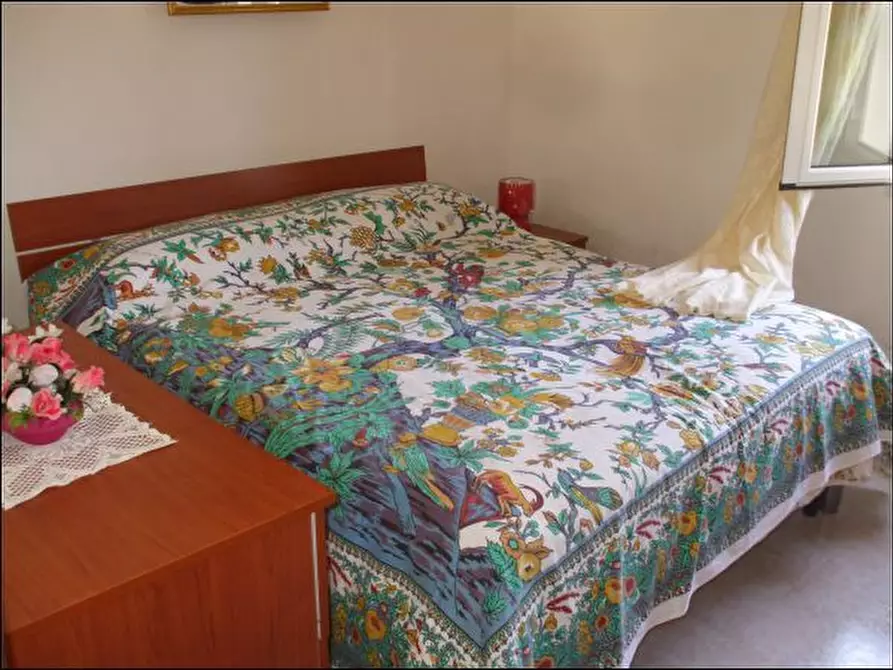 Immagine 11 di Terreno agricolo in vendita  a Palazzolo Acreide