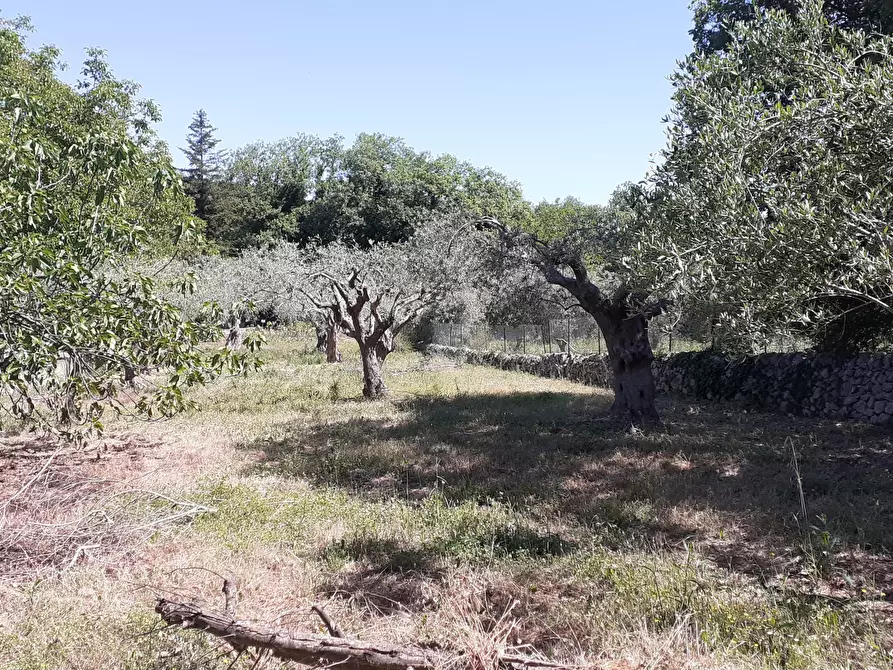Immagine 35 di Rustico / casale in vendita  in Strada Provinciale 24 21 a Noto