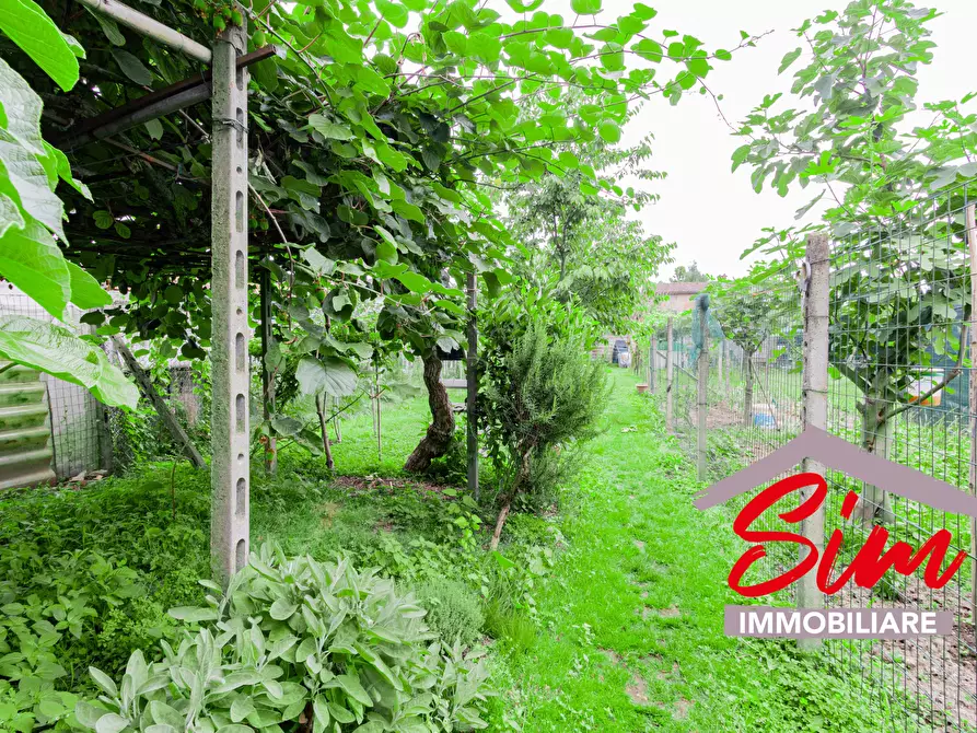 Immagine 23 di Terratetto in vendita  in Via San Giovanni snc a Borgolavezzaro