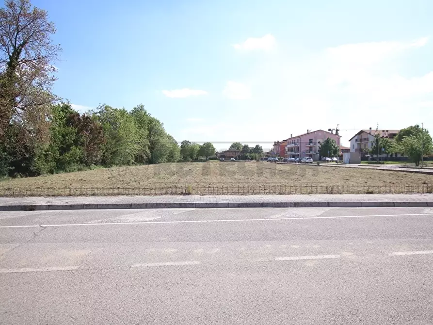 Immagine 10 di Terreno edificabile in vendita  a Castegnero