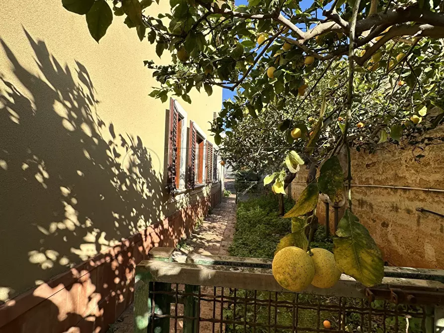 Immagine 5 di Villa in vendita  a Mazara Del Vallo