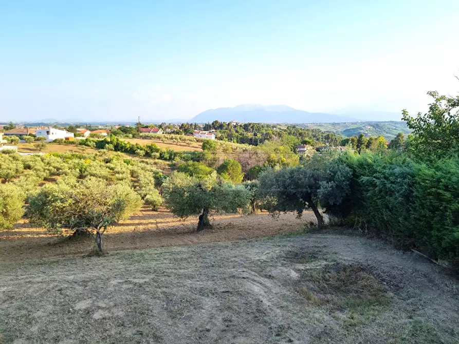 Immagine 7 di Casa indipendente in vendita  a Pescara
