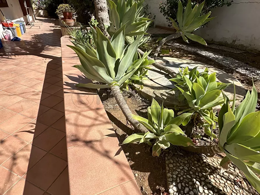 Immagine 30 di Villa in vendita  a Mazara Del Vallo