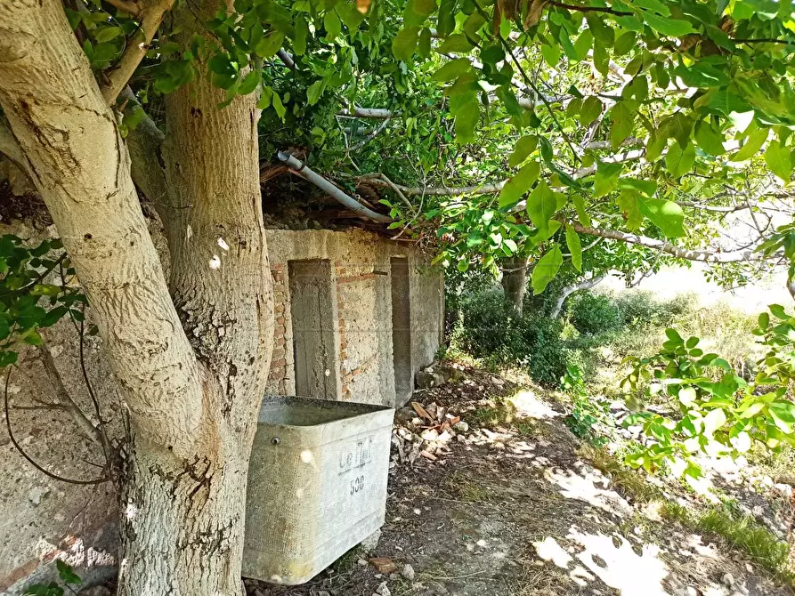 Immagine 19 di Rustico / casale in vendita  in Contrada Sant'Anna 39 a Messina