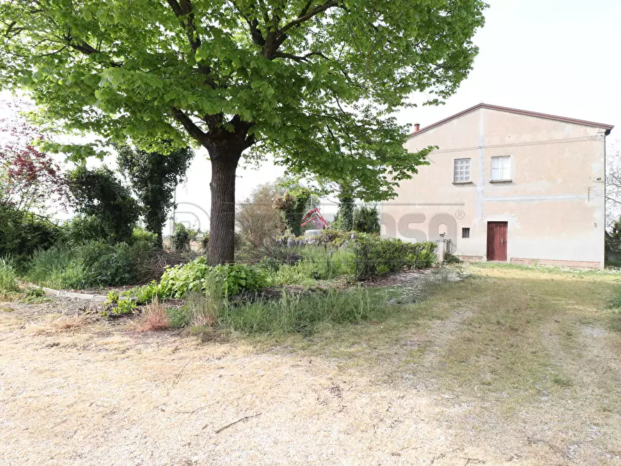 Immagine 3 di Villetta a schiera in vendita  a Bondeno