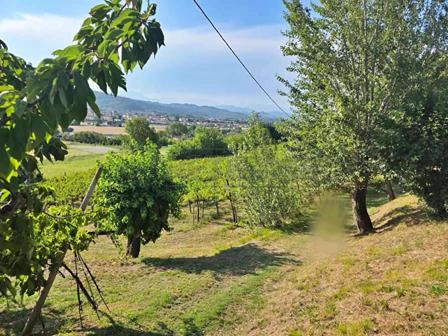 Immagine 2 di Terreno agricolo in vendita  in Via Selva Alta 95 a Montecchio Maggiore