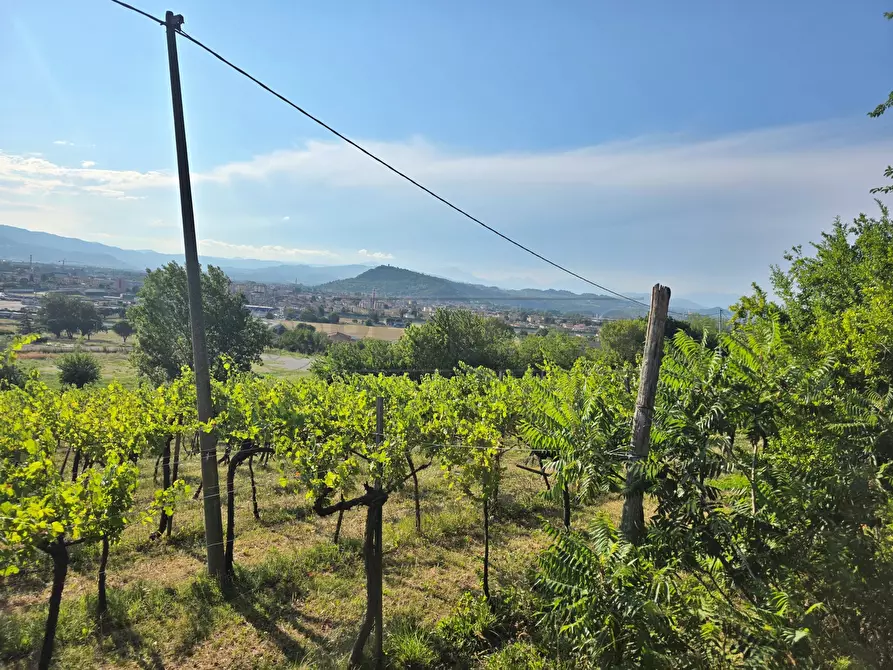 Immagine 3 di Terreno agricolo in vendita  in Via Selva Alta 95 a Montecchio Maggiore