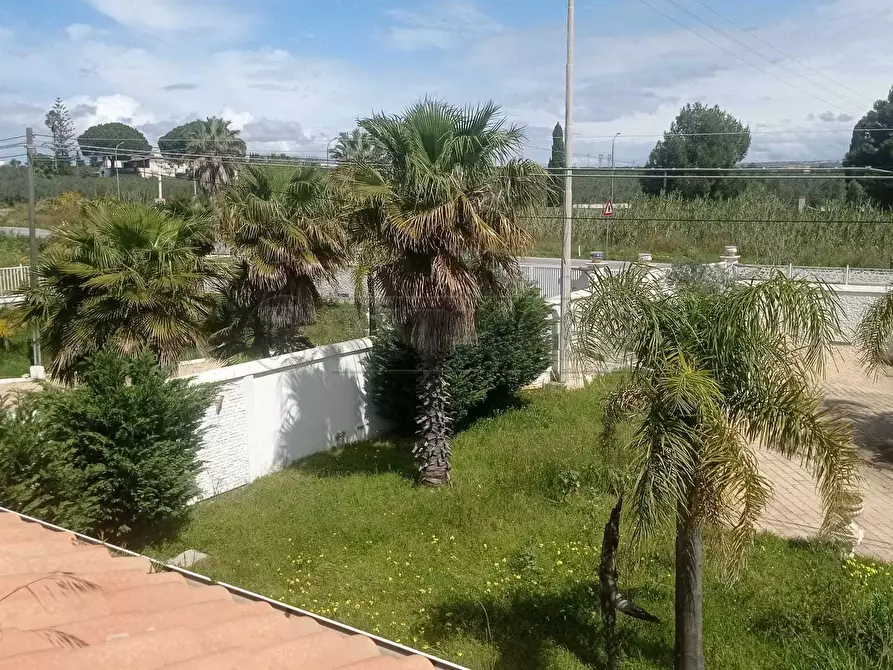 Immagine 5 di Villa in vendita  a Castelvetrano