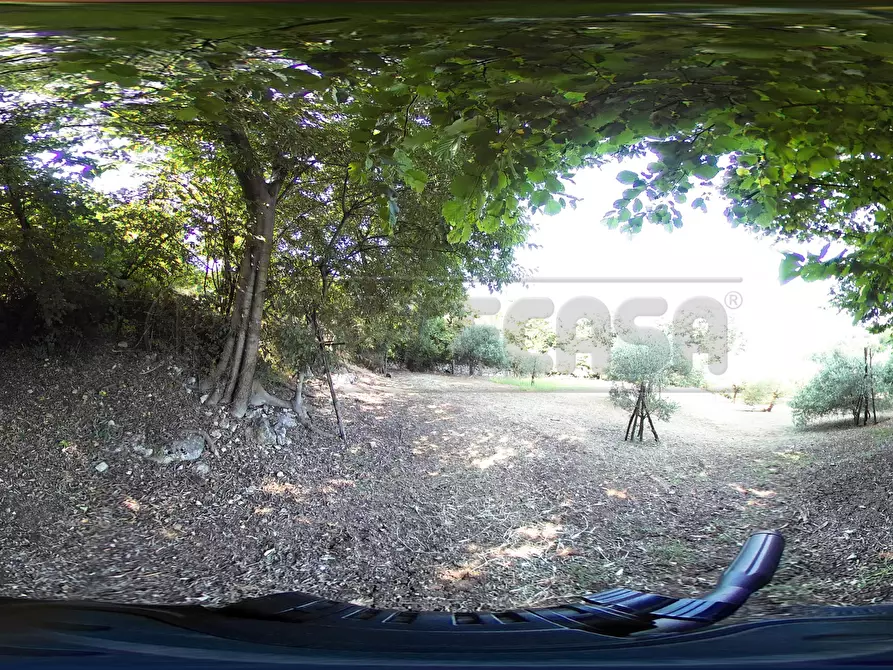 Immagine 57 di Terreno agricolo in vendita  in Via Bazziola a Monteviale