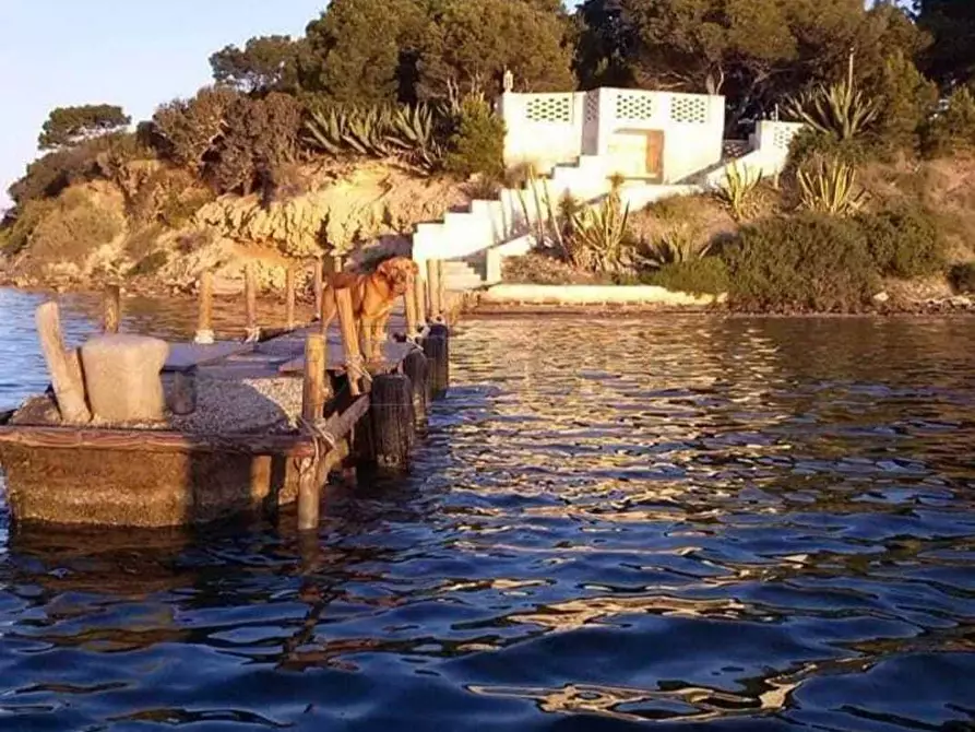 Immagine 12 di Villa in vendita  a Marsala