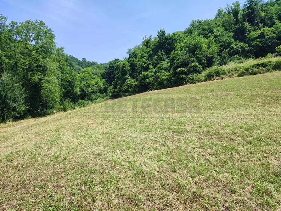 Immagine 4 di Terreno agricolo in vendita  in Via Sgaggeri 4 a Chiampo