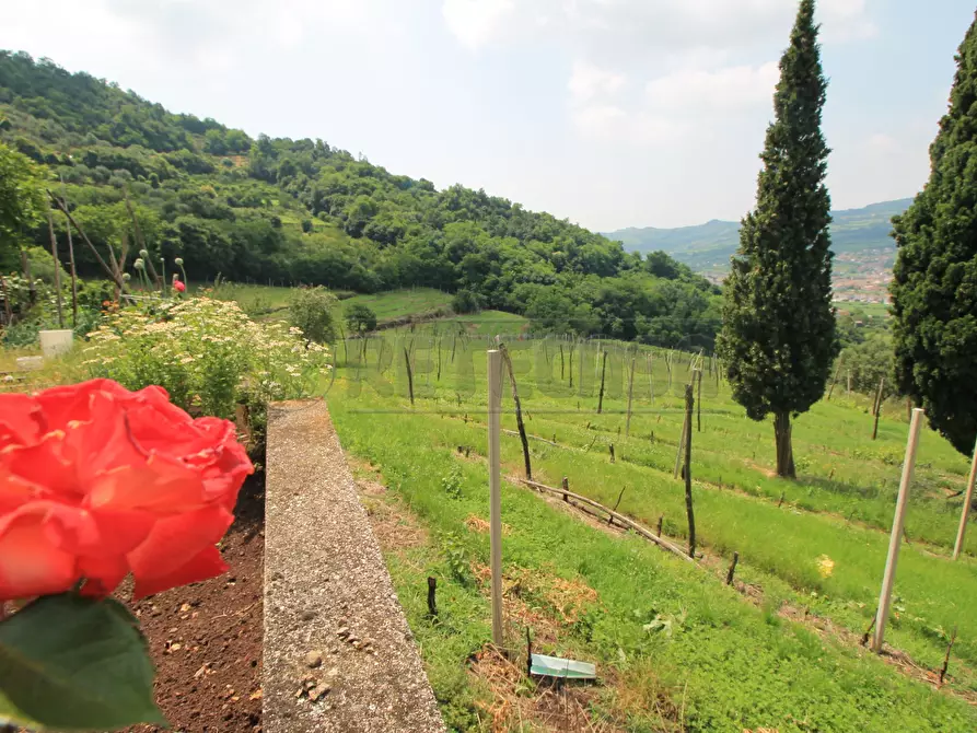 Immagine 28 di Rustico / casale in vendita  in Via Danesi di Sopra 50 a Montecchia Di Crosara