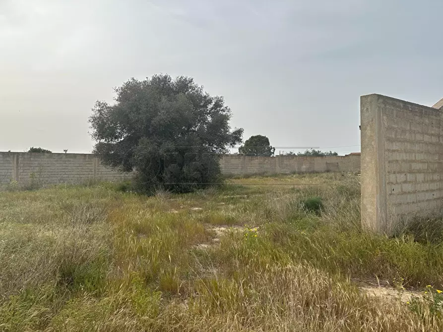 Immagine 12 di Attività artigianale in vendita  a Mazara Del Vallo