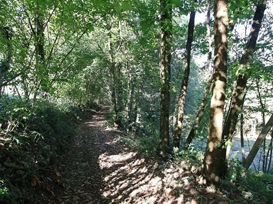 Immagine 26 di Terreno agricolo in vendita  a Arcugnano
