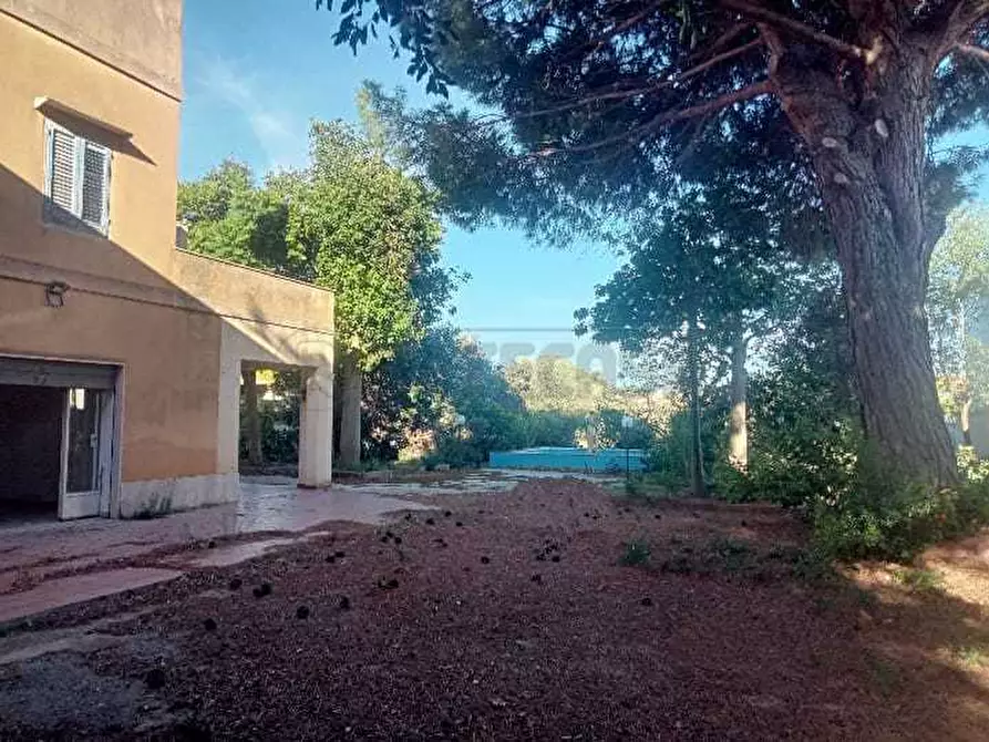 Immagine 18 di Villa in vendita  a Castelvetrano