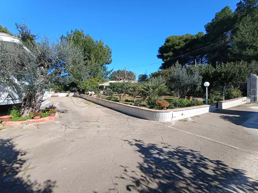 Immagine 6 di Villa in vendita  in Via B. Ravenna 49 a Gallipoli