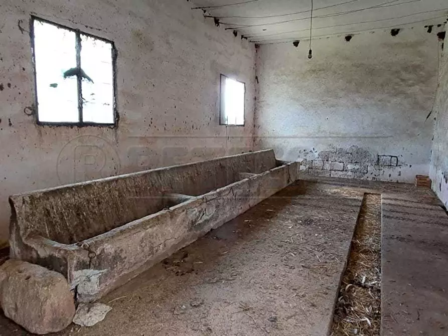 Immagine 6 di Villa in vendita  in Contrada Luci a Maglie