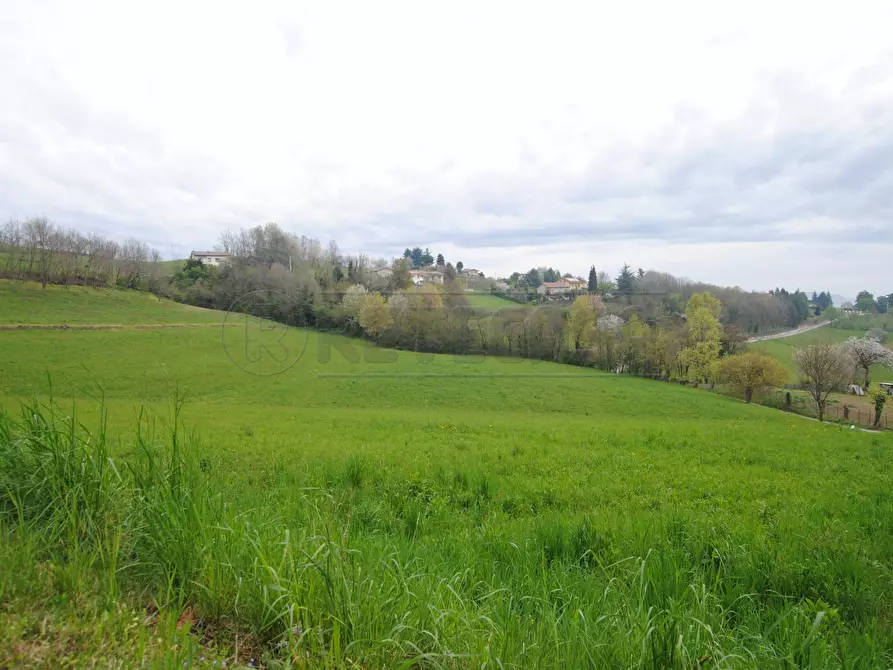 Immagine 5 di Terreno edificabile in vendita  in via rigon snc a Brogliano