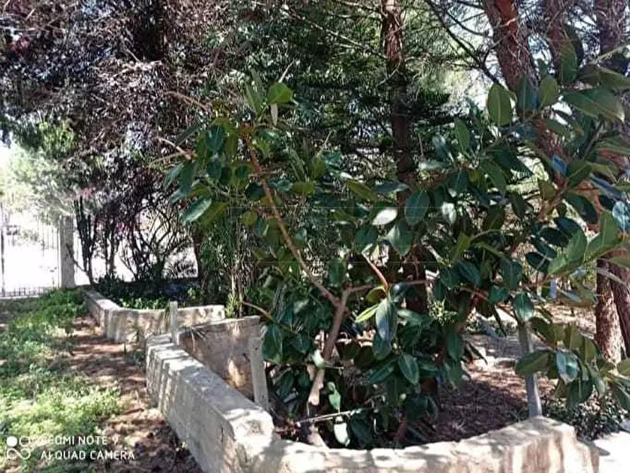 Immagine 22 di Villa in vendita  a Campobello Di Mazara