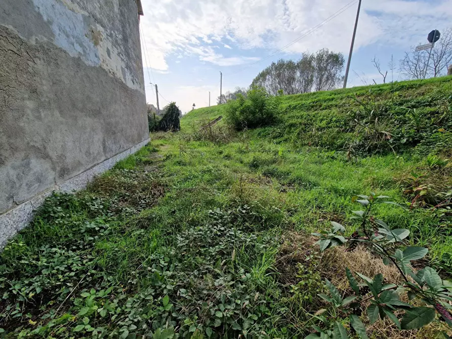 Immagine 4 di Rustico / casale in vendita  in Via Nervi a San Daniele Po