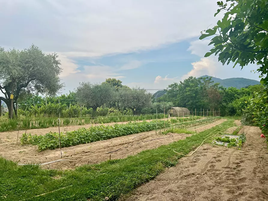 Immagine 27 di Villetta a schiera in vendita  in Via Monte Venda 516 a Vo