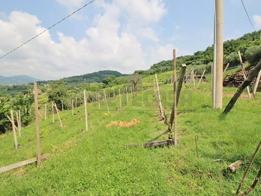 Immagine 30 di Rustico / casale in vendita  in Via Danesi di Sopra 50 a Montecchia Di Crosara