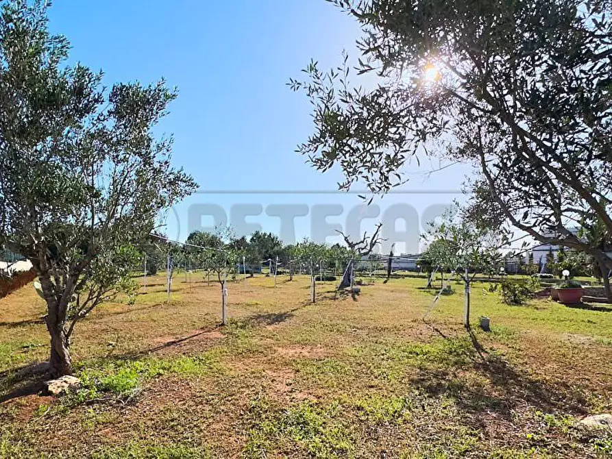 Immagine 10 di Terreno agricolo in vendita  in Via Stefano Catalano 5 a Gallipoli