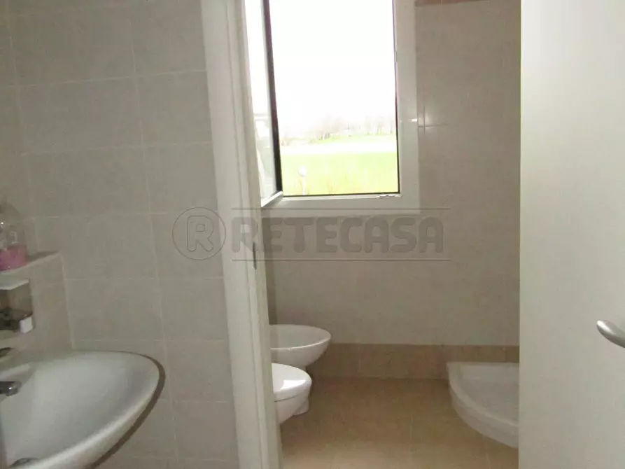 Immagine 6 di Ufficio in affitto  a Borgoricco