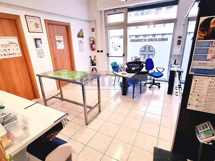 Immagine 11 di Locale commerciale in vendita  a Pescara