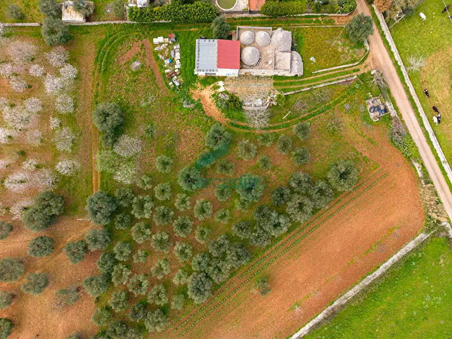 Immagine 28 di Rustico / casale in vendita  in Contrada Terranova a Monopoli