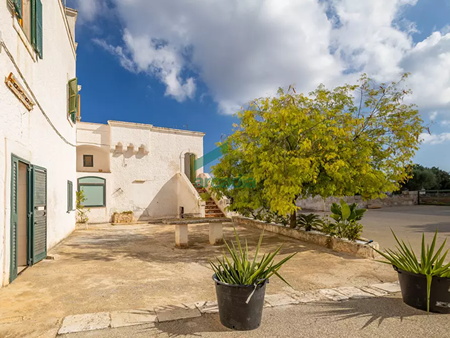 Immagine 26 di Rustico / casale in vendita  in Contrada Cristo delle Zolle 209 a Monopoli